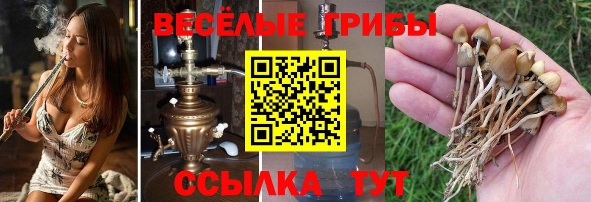 Псилоцибиновые грибы мицелий  Галлюциногенные грибы Cubensis  Туймазы  Вход с VPN 